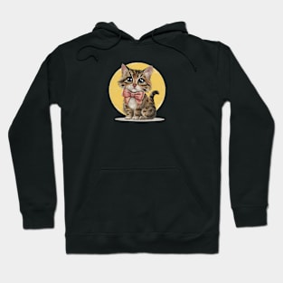 Coquette Abyssinian cat Hoodie